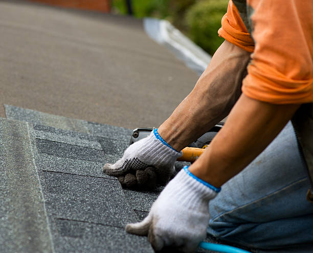 Best Storm Damage Roof Repair  in Jackson, TN