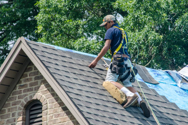 Best Storm Damage Roof Repair  in Jackson, TN
